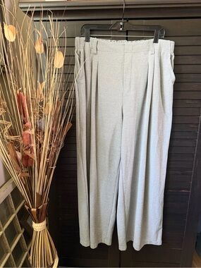 HALARA Light Gray Wide-Leg Pleated Pants - Soft Gray